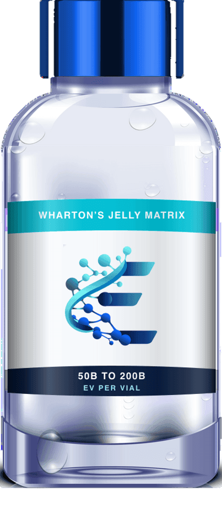Wharton's Jelly Matrix vial, 50 billion to 200 billion EV per vial