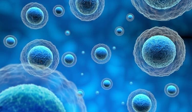 Exosomes category preview
