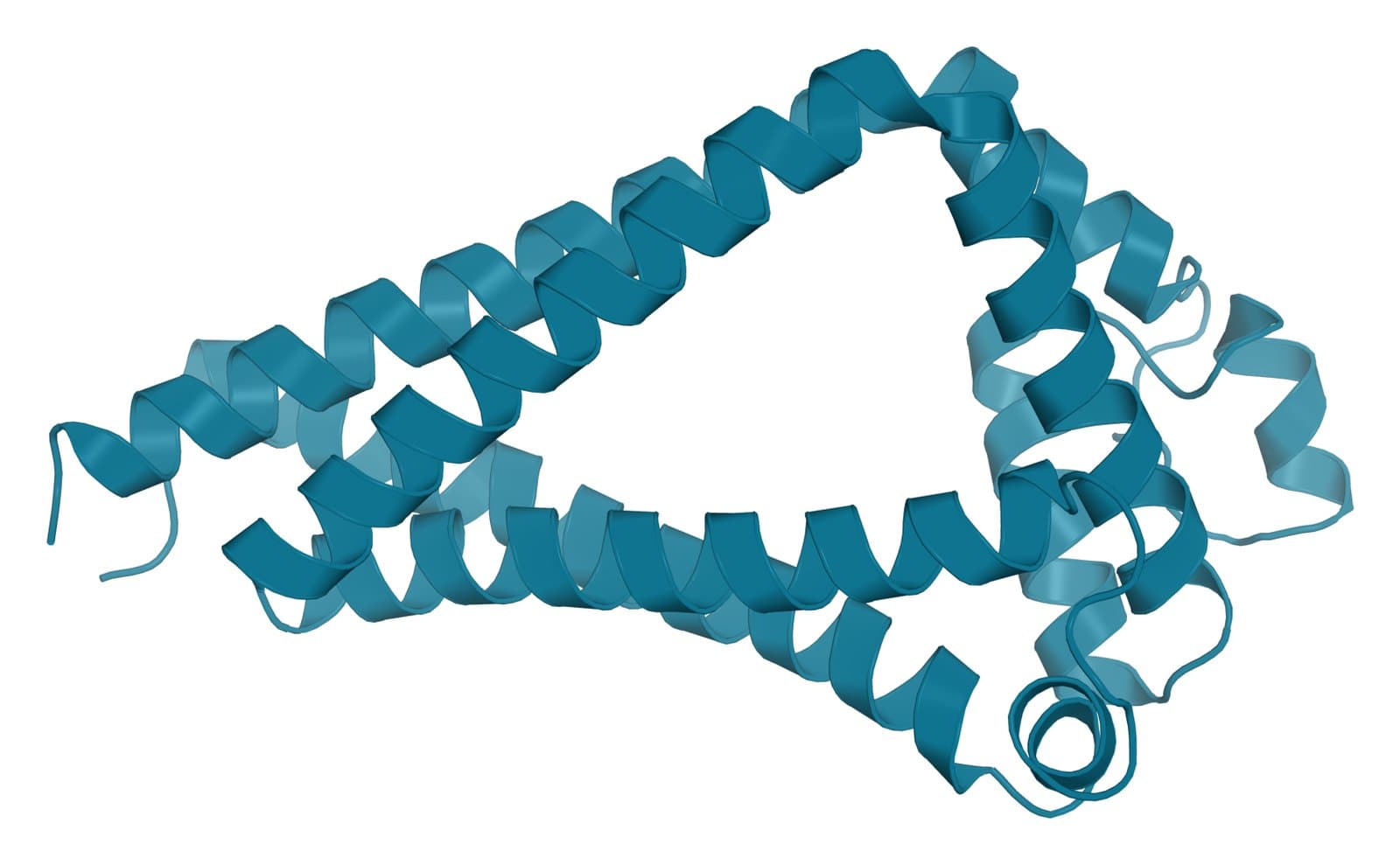 Ribbon model of the human tetraspanin CD9, four transmembrane helices and a small extracellular loop, drawn in teal