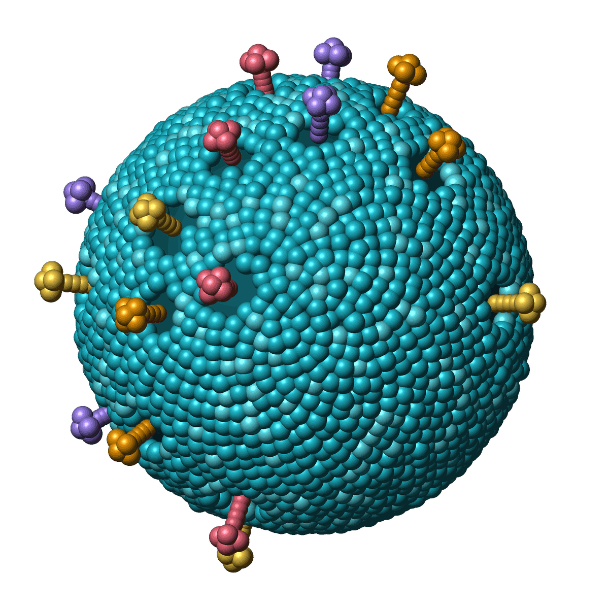 Three-dimensional illustration of an exosome: a lipid bilayer vesicle with membrane proteins projecting from its surface