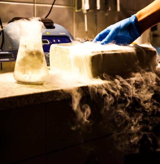 Gloved hands in a laboratory with vapor rolling off a block of research samples packed in dry ice on a bench