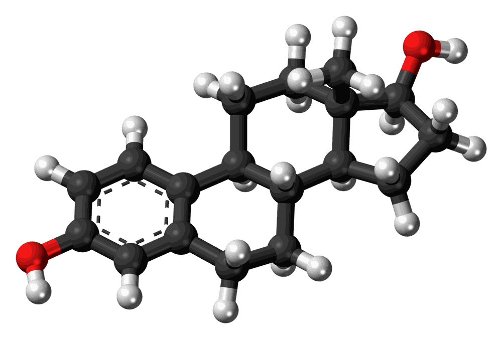 Ball-and-stick model of the estradiol molecule
