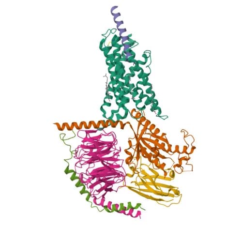 Ribbon model of Growth hormone-releasing hormone receptor, PDB entry 7CZ5 (cryo-EM, 2.6 Å)