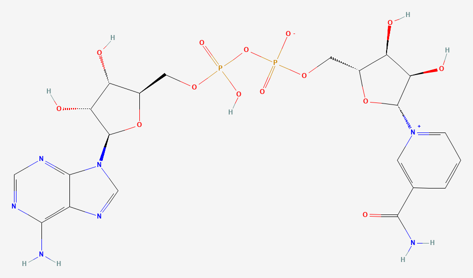 Two-dimensional chemical structure of NAD+, as depicted by PubChem