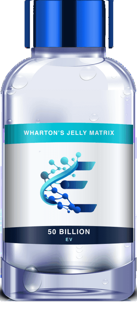Wharton's Jelly Matrix 50B, 1.0 mL