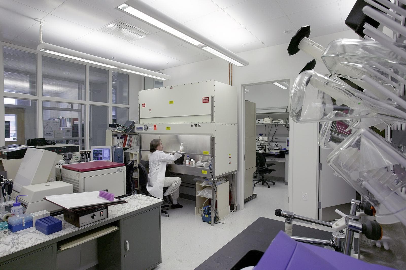 Wide view of a bright laboratory with benches and equipment and a scientist working at a biosafety cabinet in the background