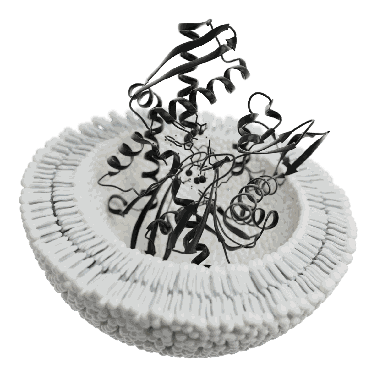 Three-dimensional cutaway render of a lipid bilayer vesicle with a dark ribbon protein structure inside
