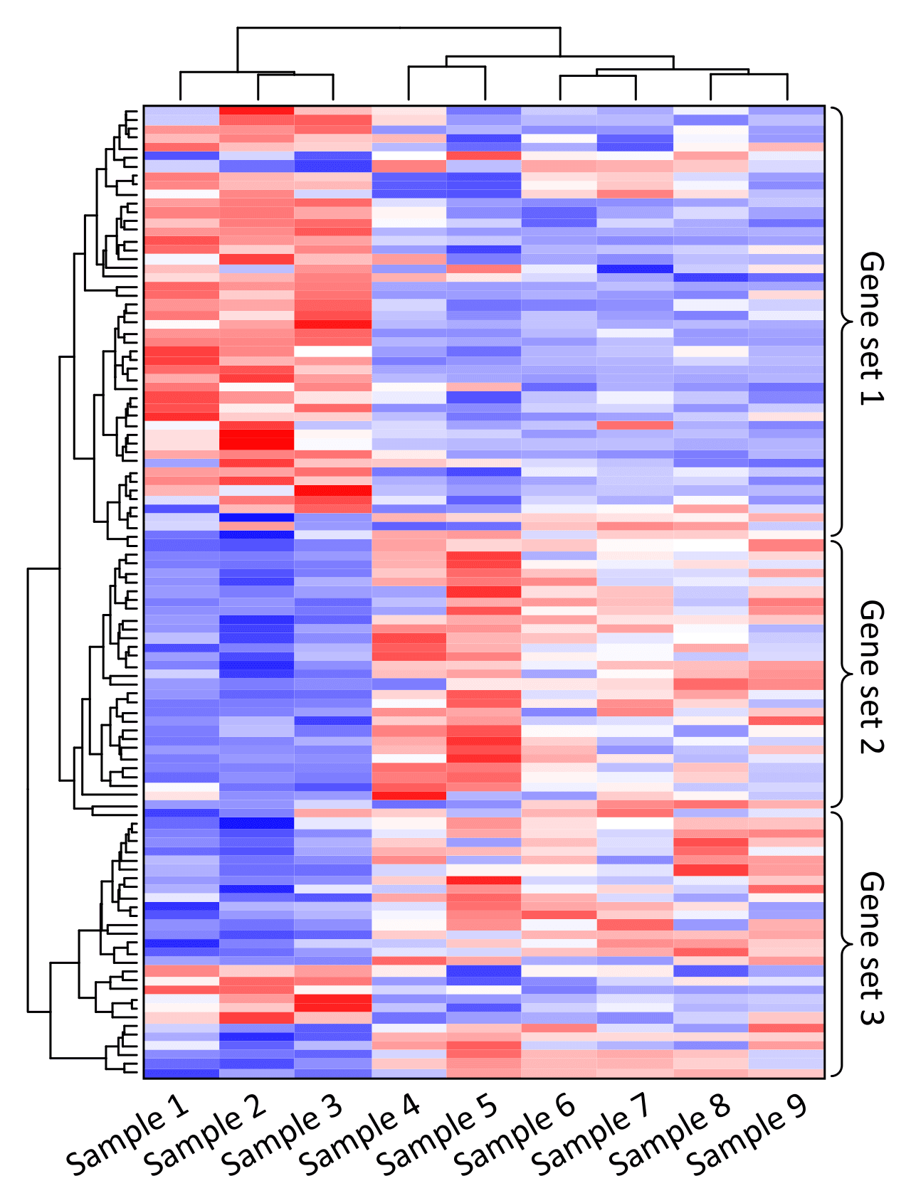 Clustered heatmap of gene expression in red, white and blue with dendrograms grouping samples and genes into three gene sets