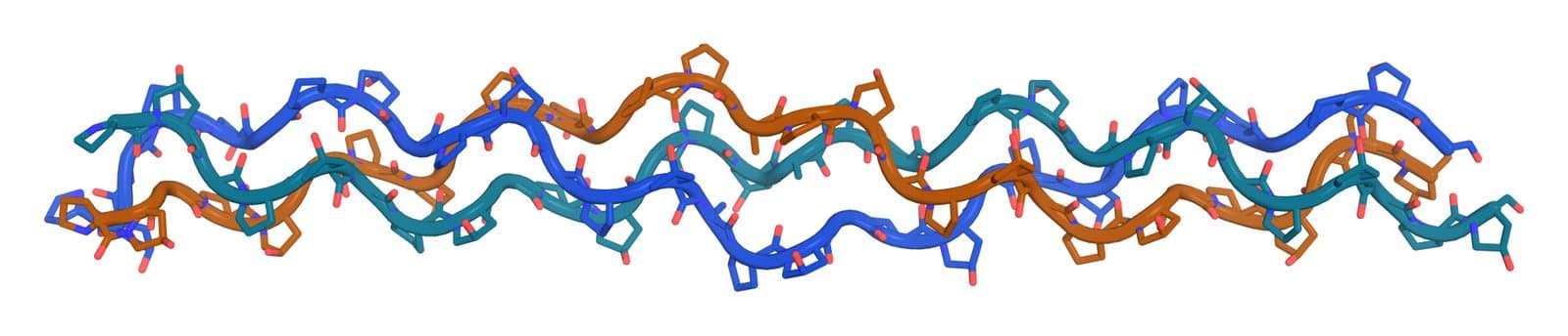 Three intertwined peptide strands in teal, blue and amber forming the triple helix characteristic of collagen, drawn as sticks with a backbone tube