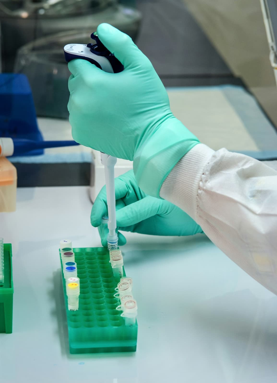 Gloved hands pipetting into small tubes held in a green rack inside a laboratory hood