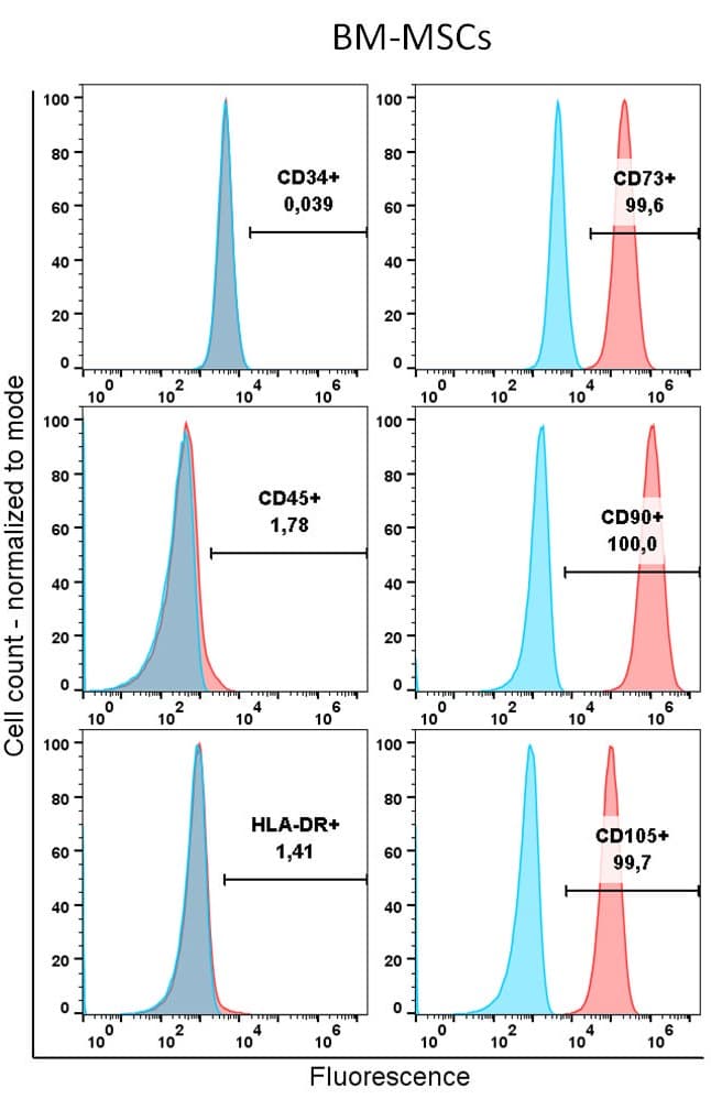Six flow cytometry histograms for bone marrow stromal cells, each overlaying a stained sample in red on a control in blue, with gates showing CD34 0.039%, CD45 1.78%, HLA-DR 1.41%, CD73 99.6%, CD90 100.0% and CD105 99.7% positive