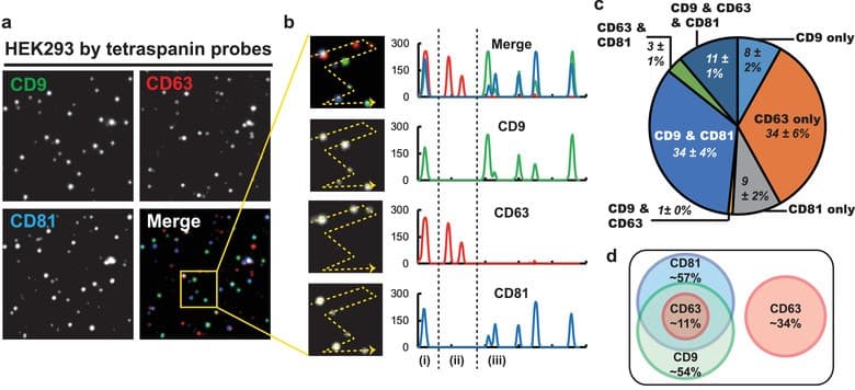 Fluorescence images of single vesicles from HEK293 cells stained for CD9, CD63 and CD81 with a merged color image, intensity line scans, a pie chart of tetraspanin combinations and a Venn diagram