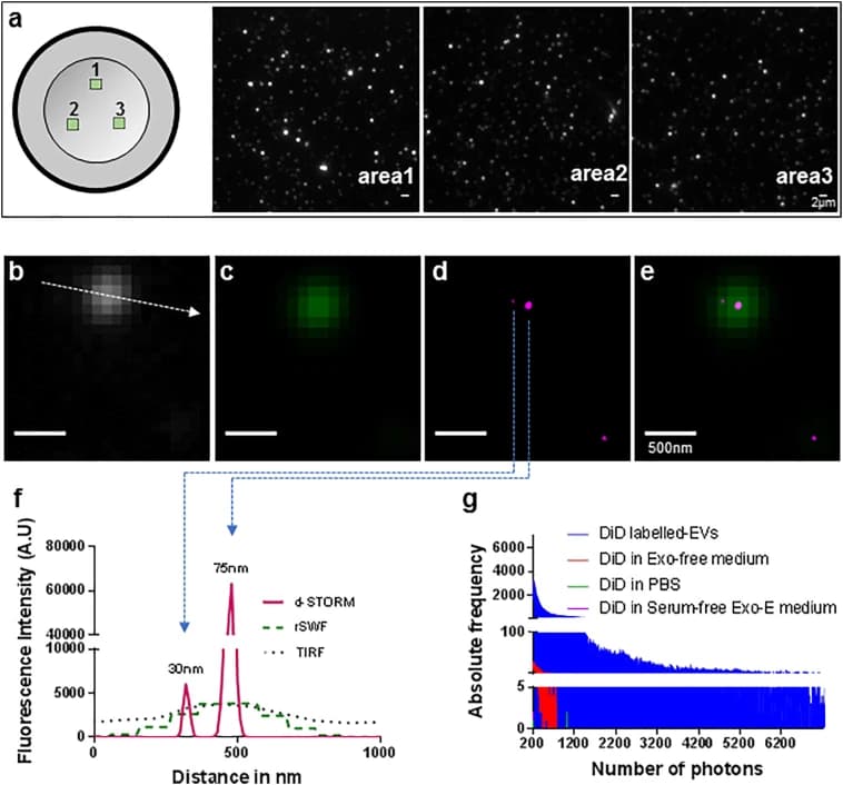 Multipanel figure: total internal reflection images of lipid-dye-labeled vesicles in three areas of a coverslip; the same vesicle shown as a blurred spot in total internal reflection and wide-field images and as two sharp points in the dSTORM image; a line profile resolving peaks of 30 nm and 75 nm; and photon count histograms for labeled vesicles and dye-only controls.