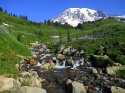 Mount Rainier above Myrtle Falls and wildflower meadows at Paradise in summer
